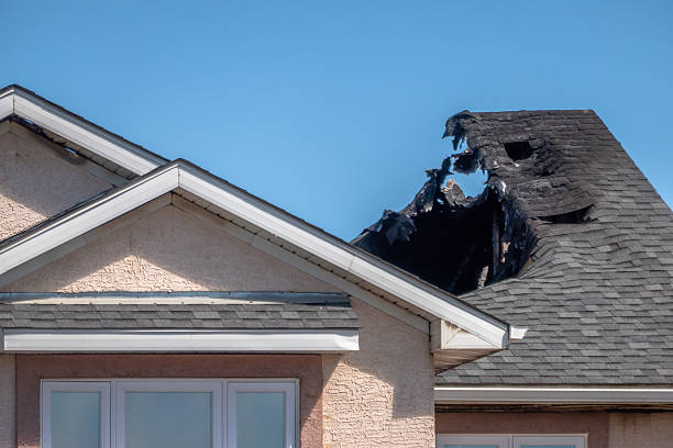 Licensed Fire Damage Restoration service in Glencoe, FL - Fire Damage Laser Cleaning
